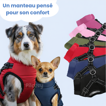 Manteau d'Hiver 3 en 1 Pilcozy™️